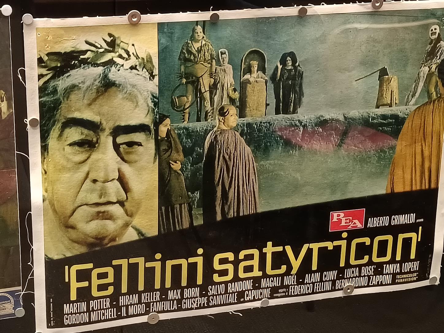 Fellini