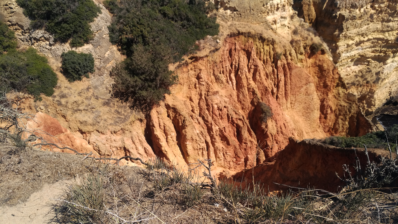 Cliff Lagos