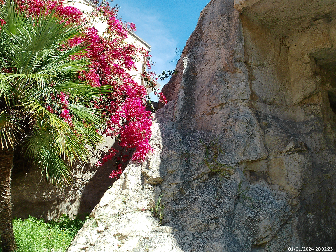 Viper's Cave