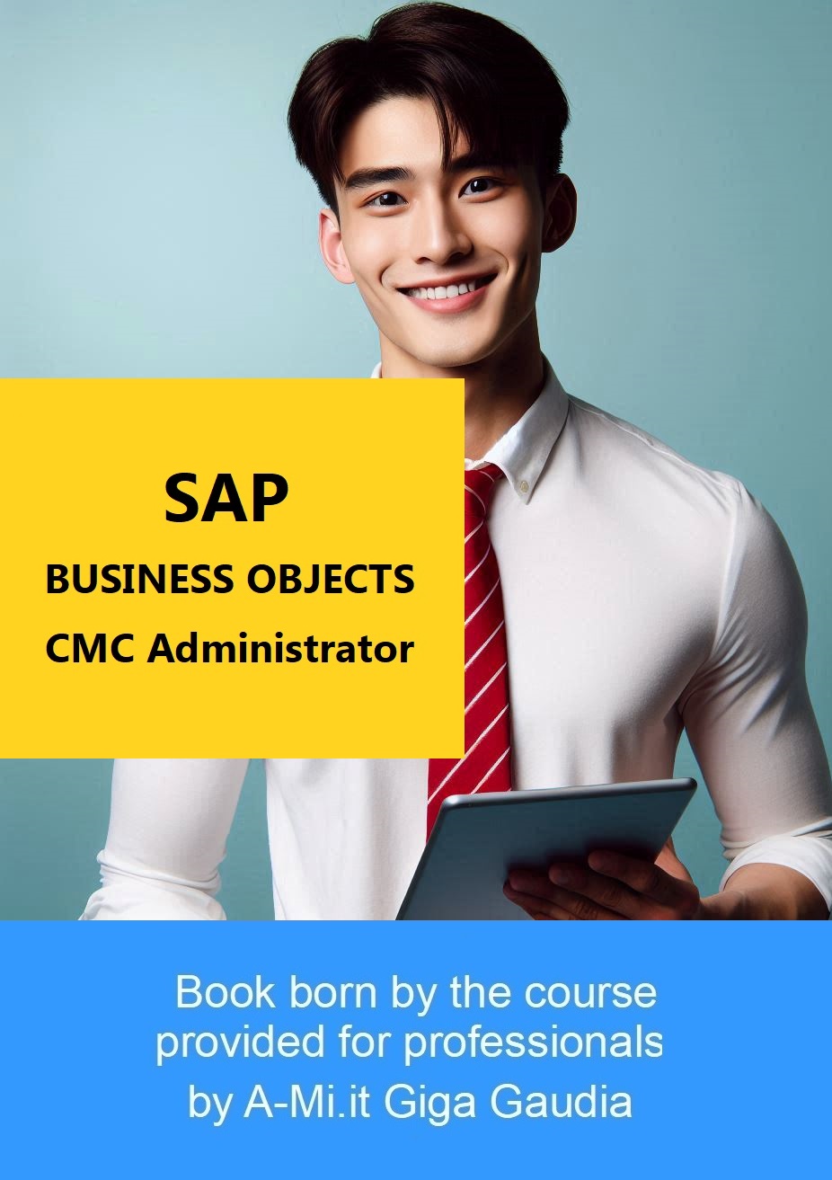 SAP_BUSINESS_OBJECTS