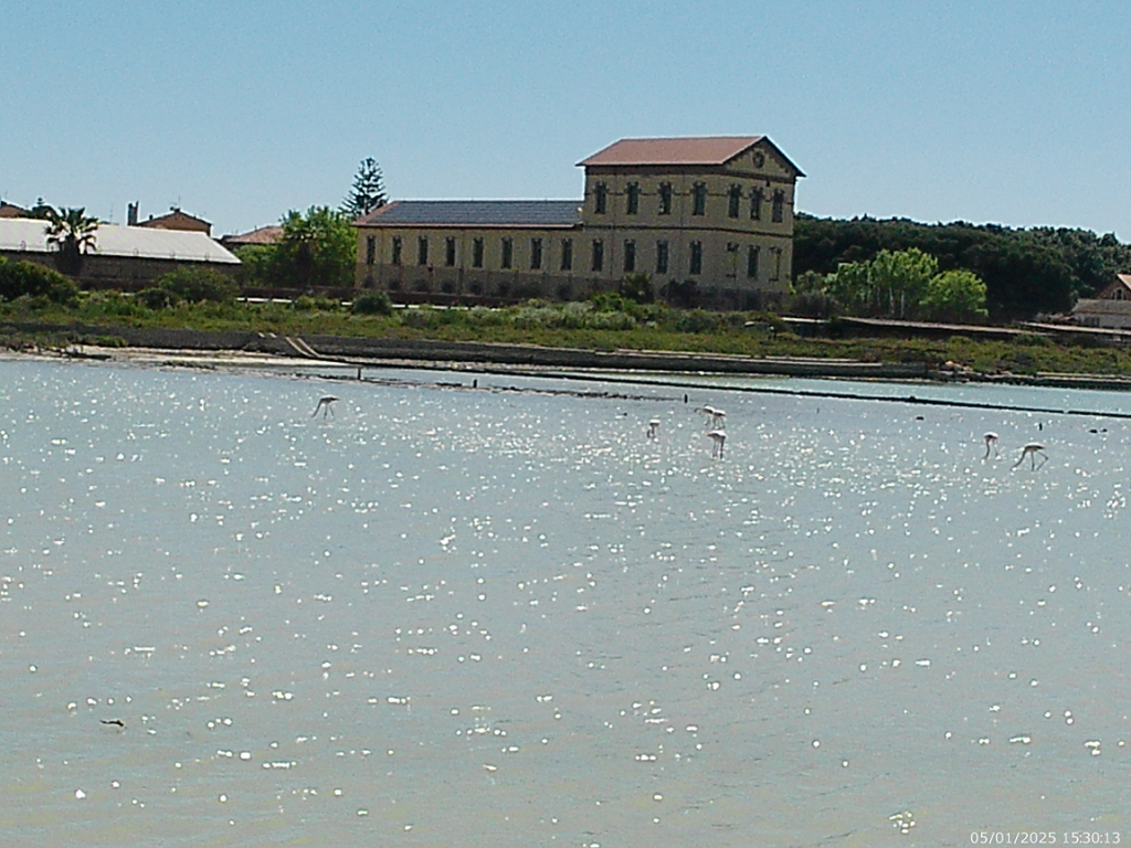 Molentargius Saline
