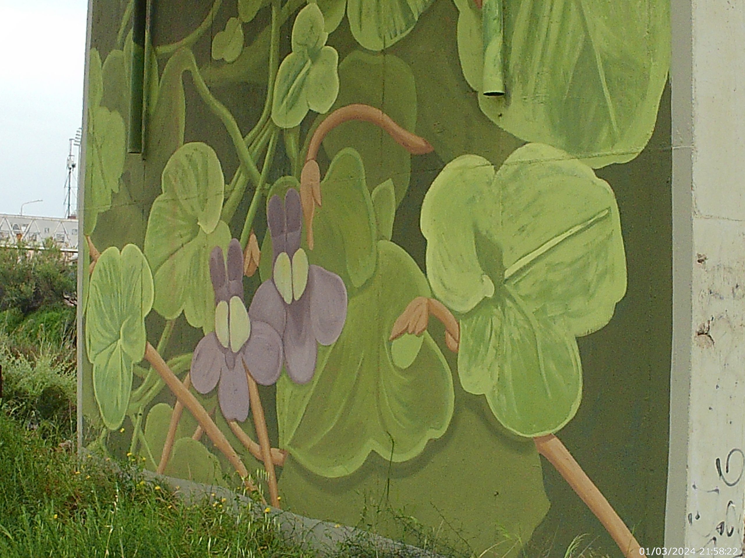Sant'Elia Street Art