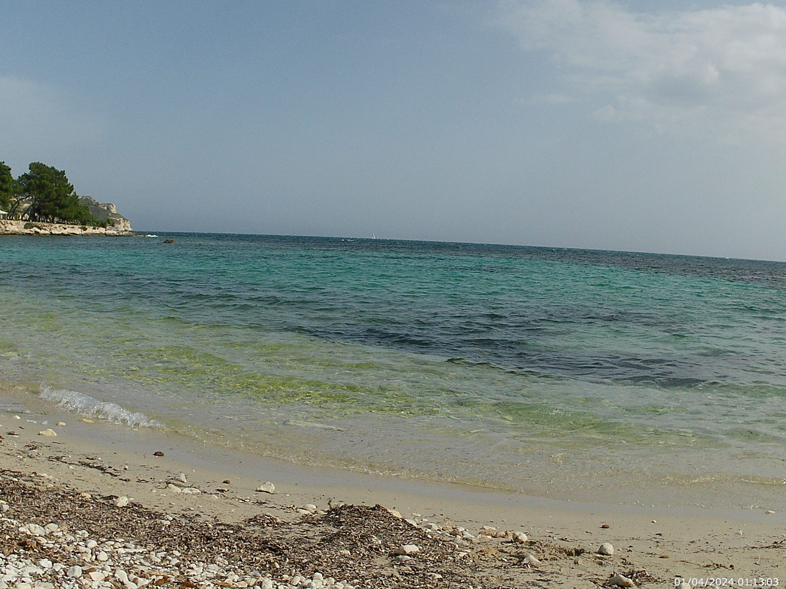 Calamosca