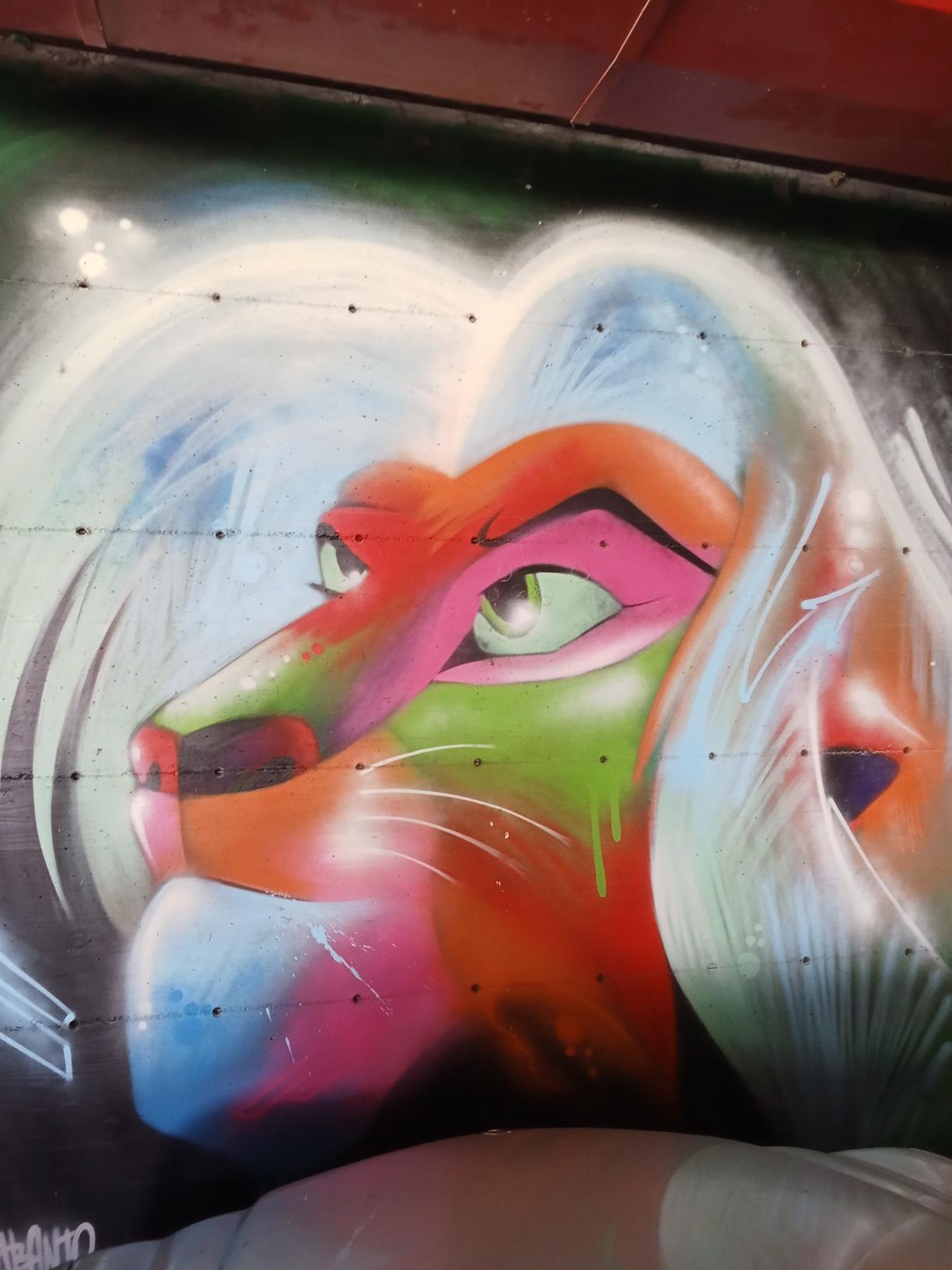 Forli Street Art