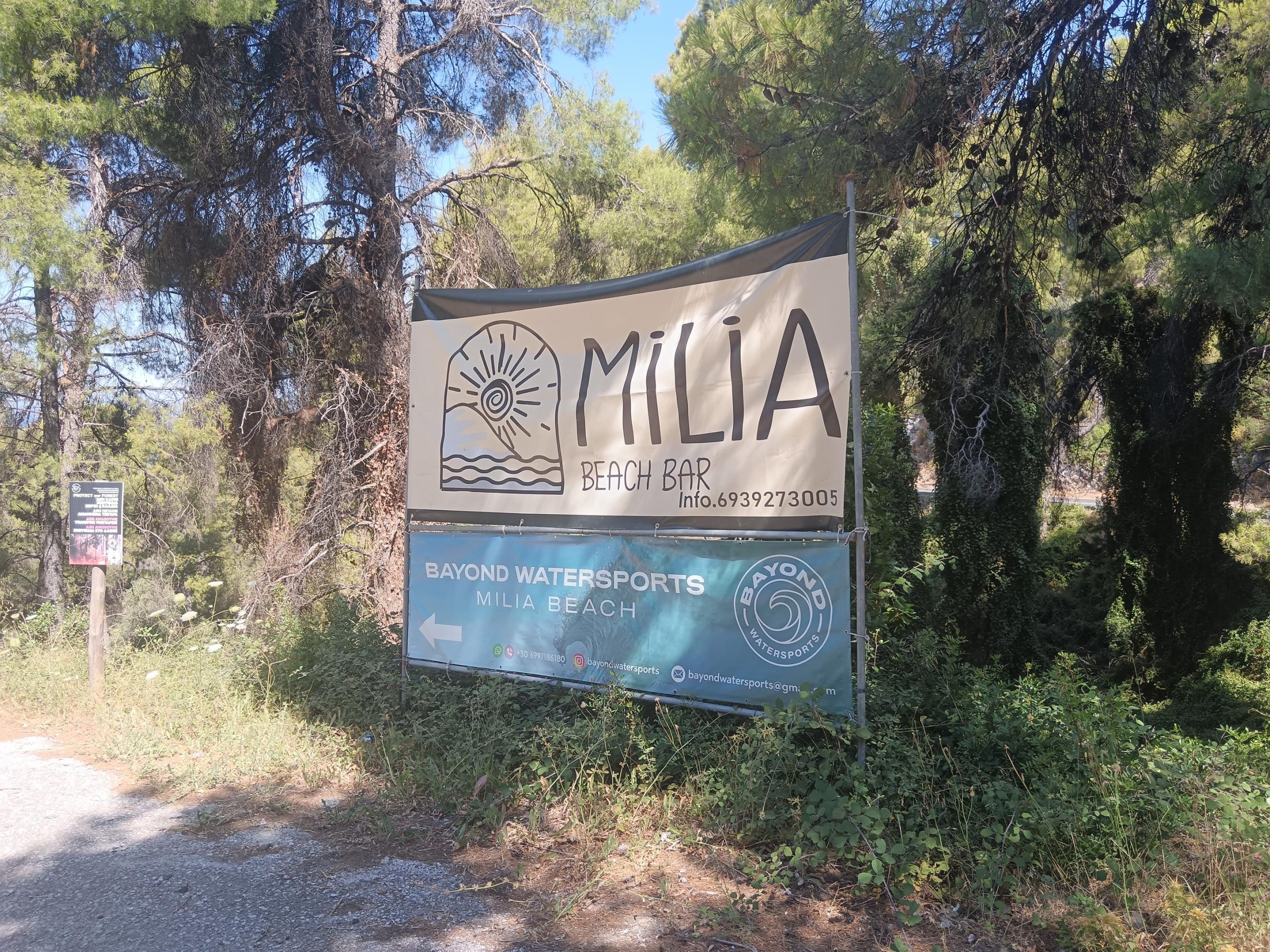 Milia