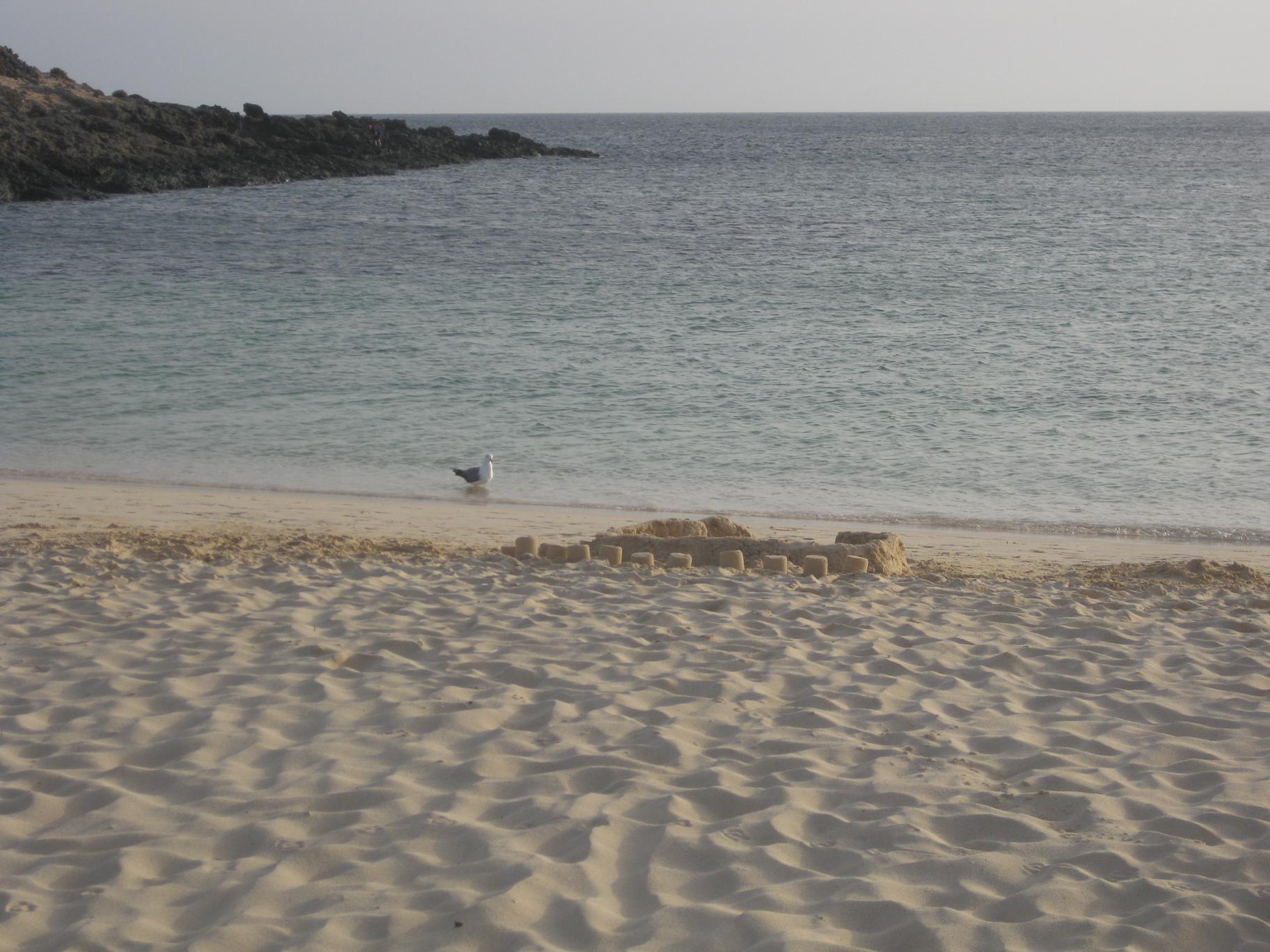 Agua Oveja - Playa de Pájara