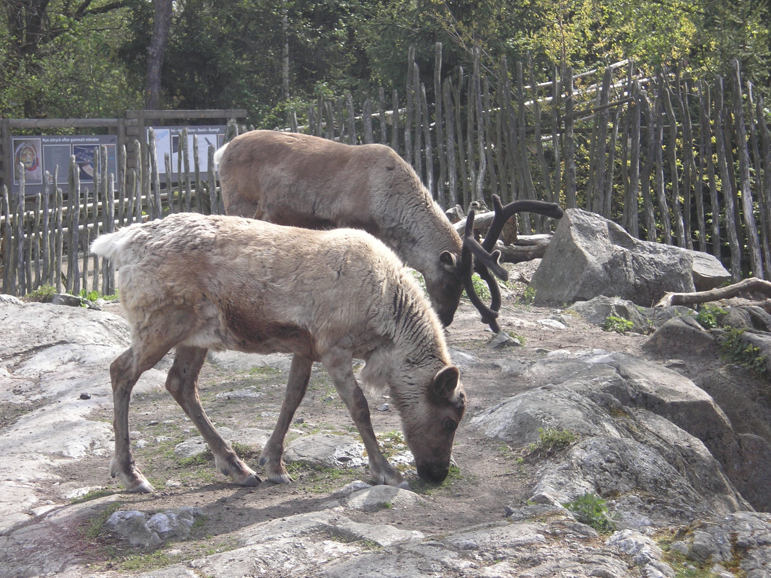 Skansen Park