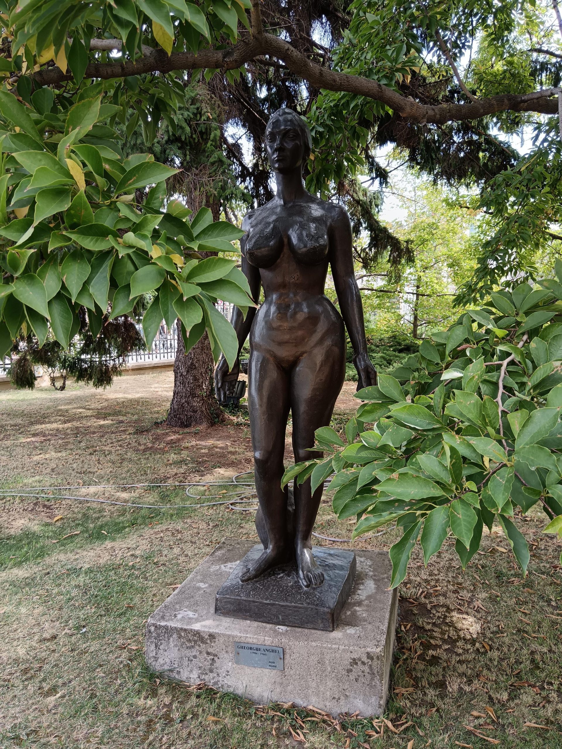 The National Museum of Art