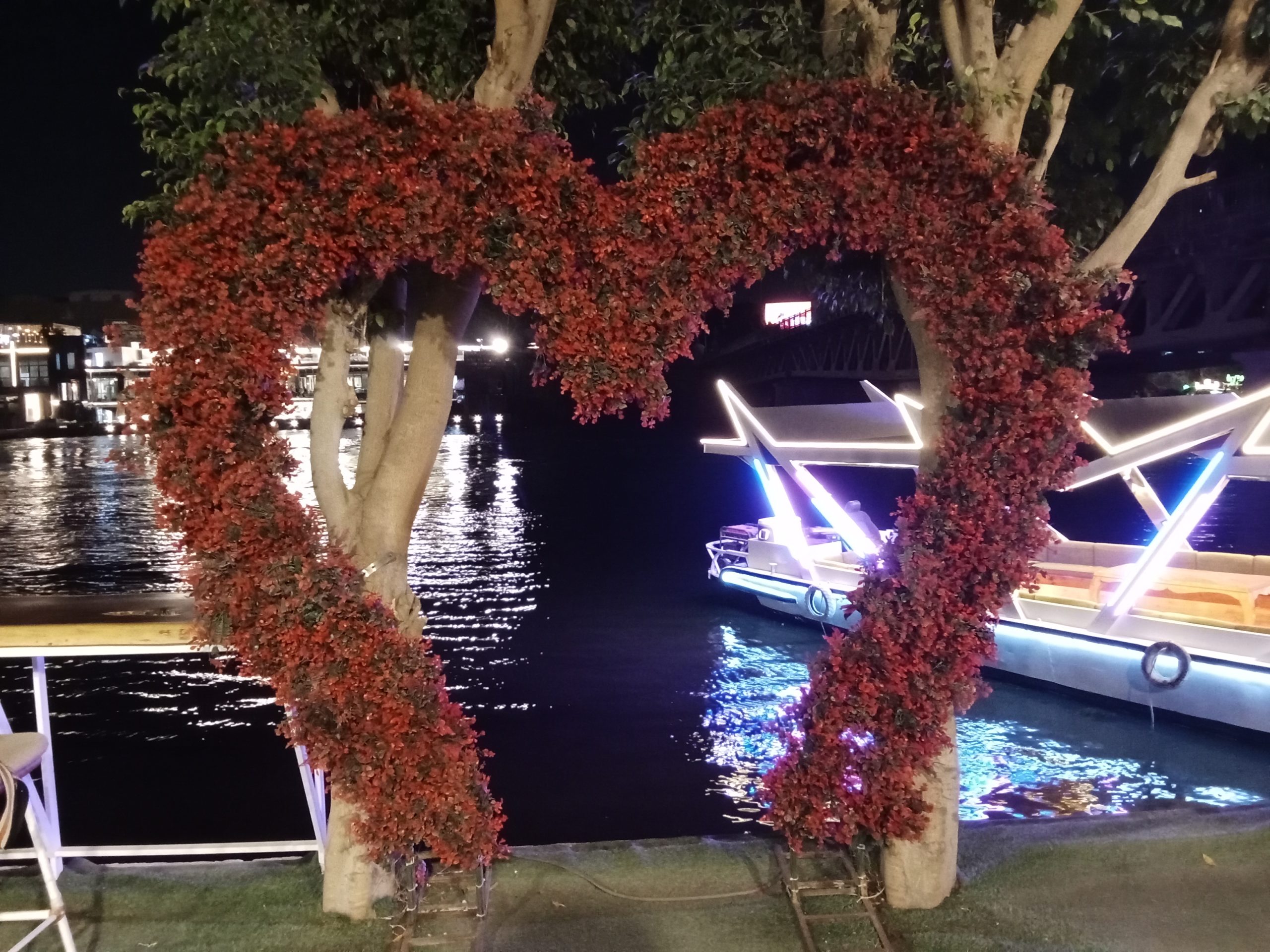 Night Nile Walk