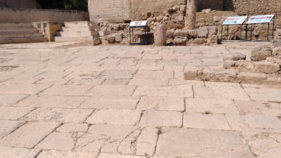 Madaba City Mosaics