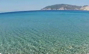 SPORADES